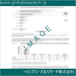 グローバルリサーチ調査資料のイメージ